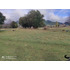 Parcela En Venta | 5.000 M² | Riñinahue - Lago Ranco