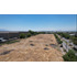 Industrial Molesto 5.200 M2 Cañaveral