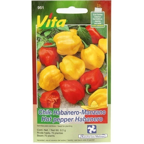 Semillas Chile Habanero Hortalizas Huerto Casero Urbano