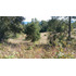 Parcela En Venta En Fresia 7.000.000m2