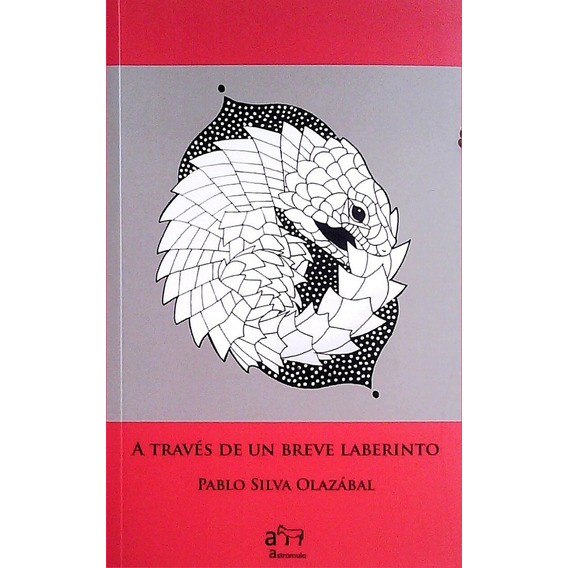 A Través De Un Breve Laberinto, De Pablo Silva Olazábal. Editorial Astromulo, Tapa Blanda, Edición 1 En Español
