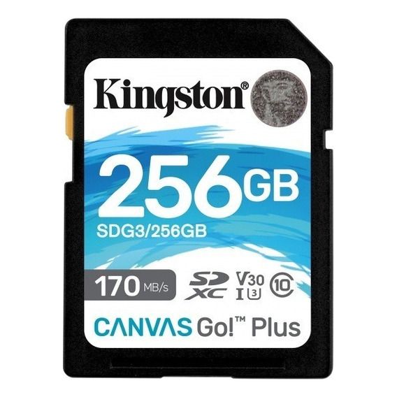 Memoria Sd Kingston 256gb Canvas Go Plus 4k (uhs-i U3 V30)