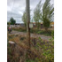 Parcela De 6860mt2 De Superficie, Cerrillo Bascuñan, Molina
