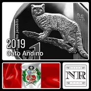 Peru - Gato Andino - Fauna Silvestre 1 Sol 2019