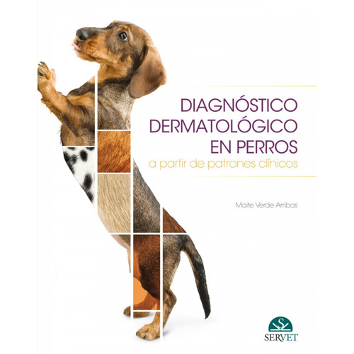 Verde: Diagnóstico Dermatológico En Perros
