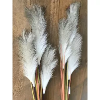 Pampas Artificial 125cm Pa225