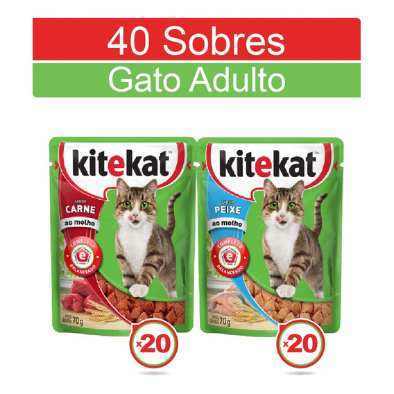 Kitekat Alimento Húmedo Gato Carne Y Pescado X 40 Sobres