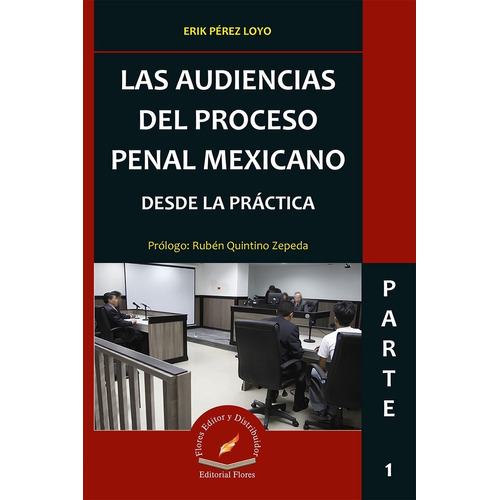 Las Audiencias Del Proceso Penal Mexicano Desde La Práctica