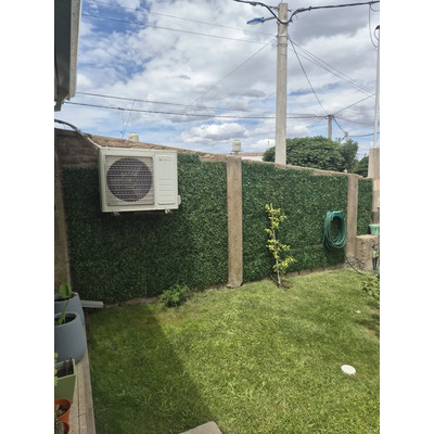 Foto del comprador