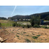 Terreno Valle Del Río, Pingueral, Tomé