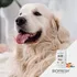 Biofresh Super Premium alimento para perro adulto de raza mini y pequeña sabor pollo de 10.1kg