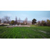 Se Venden Parcelas  Agroindustrial En Panamericana 5 Sur