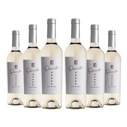 Vino Blanco Riglos Quinto Sauvignon Blanc Gualtallary X6