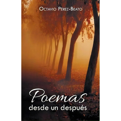 Poemas Desde Un Despues, De Octavio Perez-beato. Editorial Palibrio, Tapa Blanda En Español