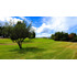 Parcelas  Desde 1.200 Uf. Lago Rapel  (144097)