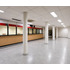 Local Comercial En Arriendo  Barrio Financiero 1678,86m2
