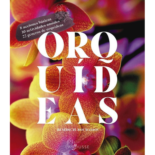 Orquideas, De Aa.vv. Editorial Larousse, Tapa Blanda En Español