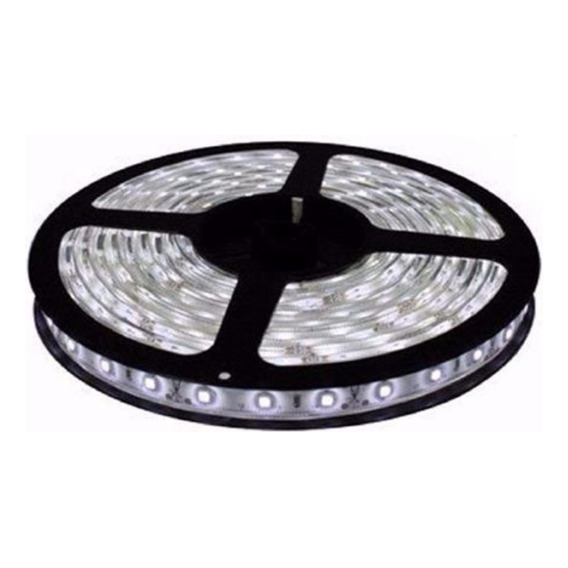 Tira Led Candela 7346 Luz Fría Interior 12v 5mts 300 Leds