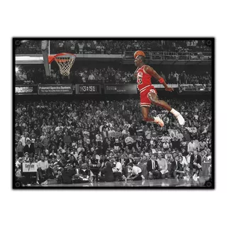 #1040 - Cuadro Vintage - Michael Jordan Chicago Nba No Chapa