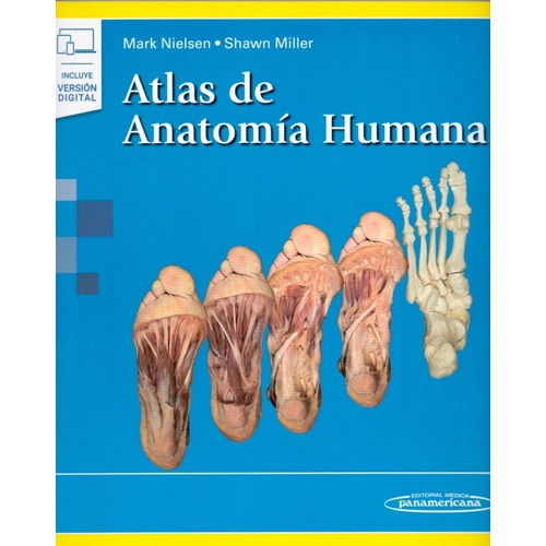 Nielsen Atlas De Anatomia Humana