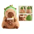 2 Bonitos Juguetes De Anémona De Peluche Para Niños