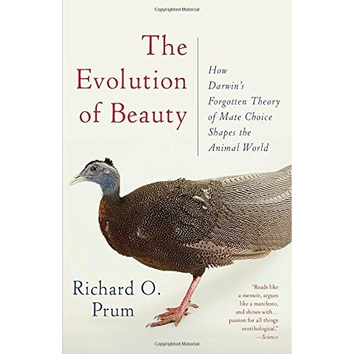 Book : The Evolution Of Beauty: How Darwin\'s Forgott (4570