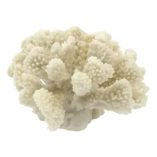Coral Decorativo Blanco | Chico