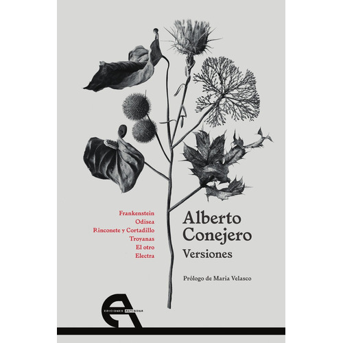 Versiones, De Ejero, Alberto. Editorial Ediciones Antígona, S. L., Tapa Blanda En Español