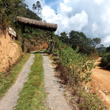 Sítio Em São Francisco De Uranio 