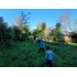 Terreno En Venta En Colbún - Caben 7 Sitios De 300m2