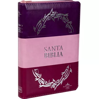 Biblia Reina Valera Letra Grande Violeta Y Rosa De Sociedades Bíblicas Unidas En Español