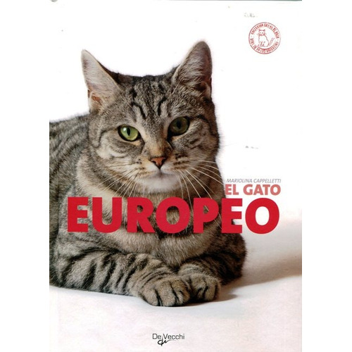 El Gato Europeo
