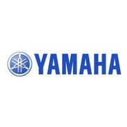 Yamaha Oem Cubierta Bateria Raptor 700 1peh21290000