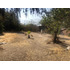 Propiedad 1100 M2 Terreno, Linares/pto. Varas, La Granja