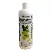 Shampoo Bergamota Y Colageno Brillo Nutricion Shampo Profesi