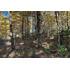 Venta Campo Curarrehue