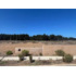 Guanay, Lindo Sitio (158662)