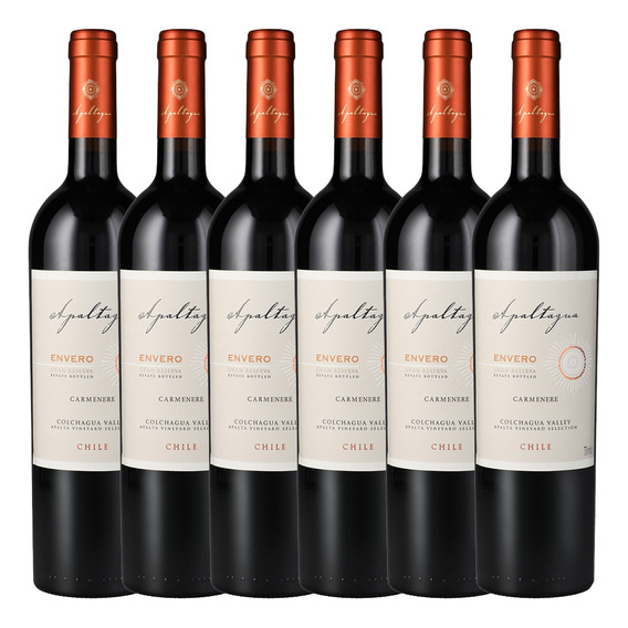 6x Vino Apaltagua Gran Reserva Envero Carménère