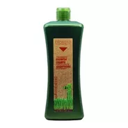 Salerm Biokera ® Shampoo Especifico Anti Caida 1000ml Regenera Detiene Caida Del Cabello Ginseng Y Ginkgo Biloba