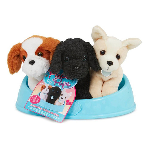 Adopta 3 Perros - Shih Tzu, Poodle & Chihuahua