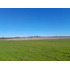 Lindo Campo Para Desarrollo Inmobiliario
