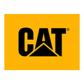 Cat Watches