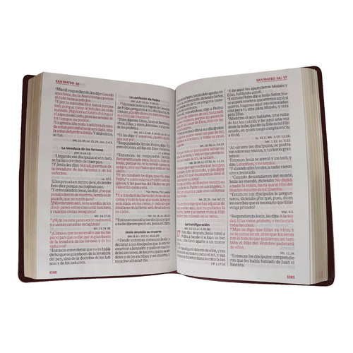 Santa Biblia Reina Valera 1960 Biblia Cristiana Letr Gigante