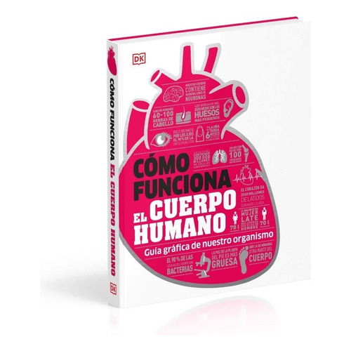 Cómo Funciona El Cuerpo Humano