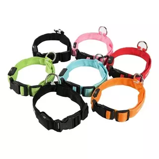 Collar Perro Gato Luminoso  Led Recargable Usb  Envio Ya¡ 