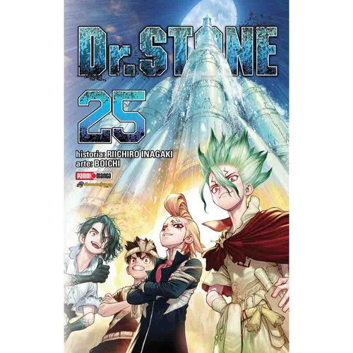 Dr Stone 25, De Boichi. Serie Dr. Stone Editorial Panini Manga Argentina, Tapa Blanda, Edición 1 En Español, 2023
