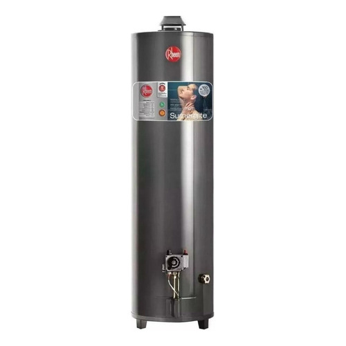 Termotanque Rheem 160 Lts Alta Potencia Alta Recuperacion Color Gris