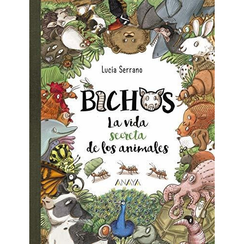 Bichos : la vida secreta de los animales, de Lucía Serrano. Editorial ANAYA INFANTIL Y JUVENIL, tapa blanda en español, 2019