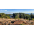 Parcela 3000 M2 En Venta Cobquecura