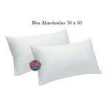 Dos Almohada 70 X 50cm Siliconada Color Blanco